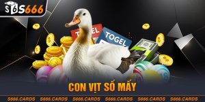 Con Vịt Số Mấy? Giải Mã Giấc Mơ Thấy Vịt Cùng S666 Plus