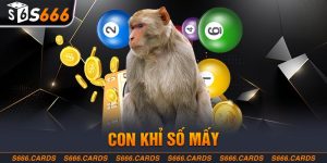 Con Khỉ Số Mấy - Giấc Mơ Thấy Khỉ Là Điềm Gì?